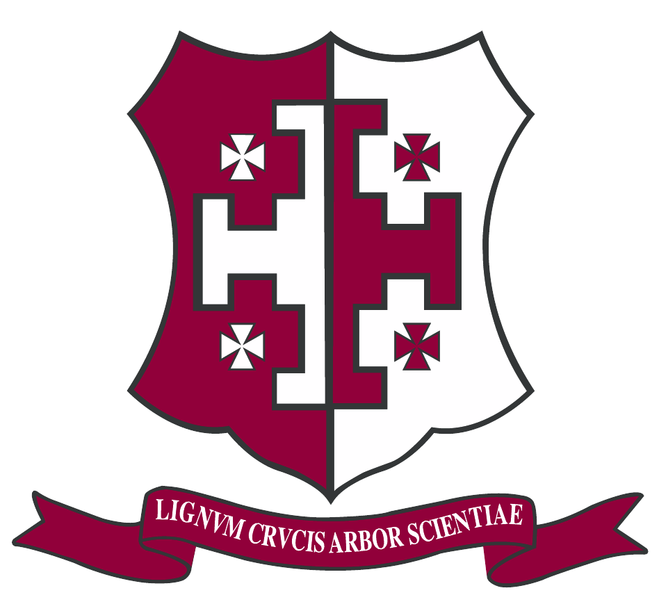 school-logo-mini-icon